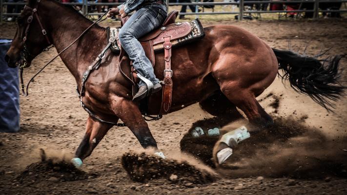 Rodeos and Country Culture: Far North Qld's Frontier Spirit