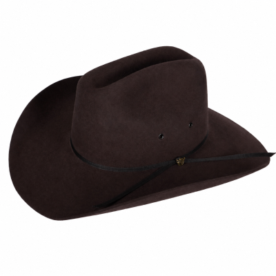 Pure Western Dark Brown Cyclone Wool Hat