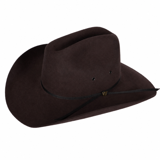 Pure Western Dark Brown Cyclone Wool Hat