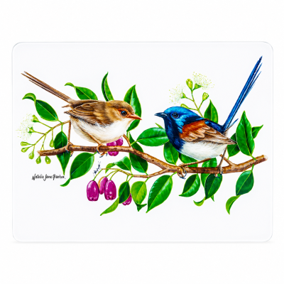 Australian Birds Fairy Wren Surface Protector