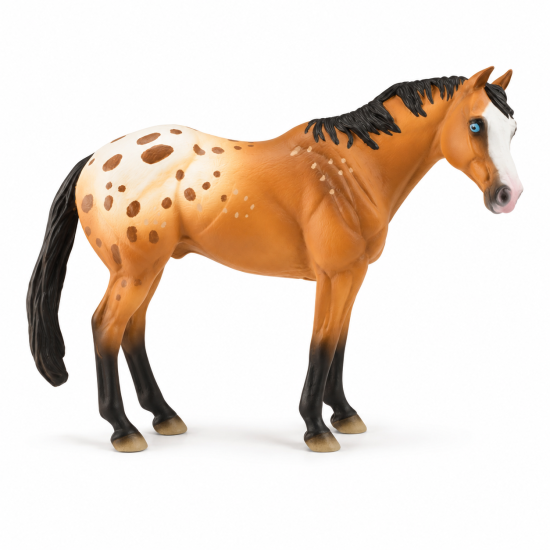 Appaloosa Stallion Light Brown